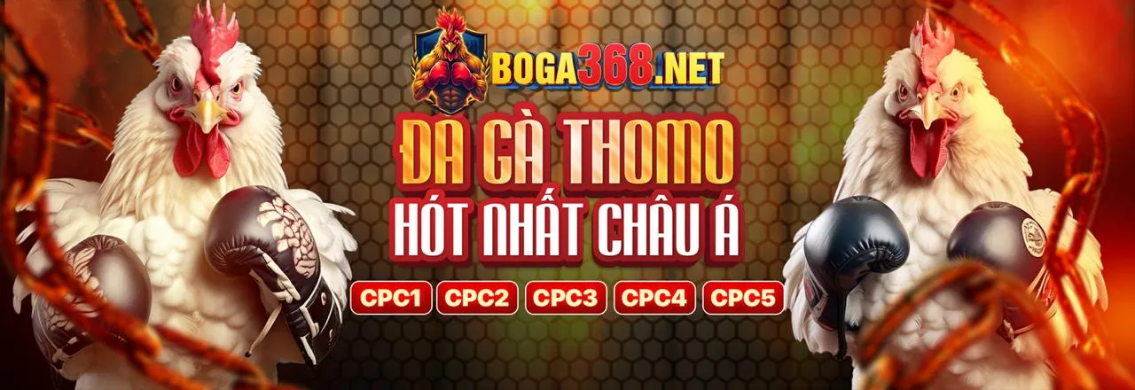 Tin tức K89bet, cập nhật khuyến mãi và sự kiện thể thao mới nhất